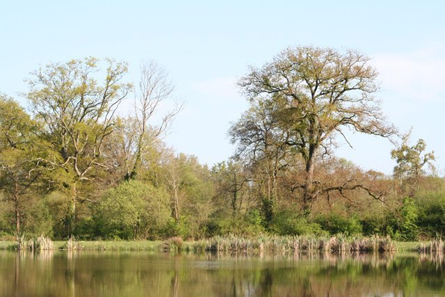 Nature landeronnaise
