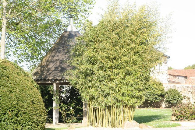 Nature landeronnaise