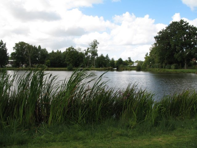 Nature landeronnaise