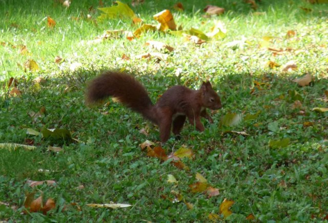Nature landeronnaise